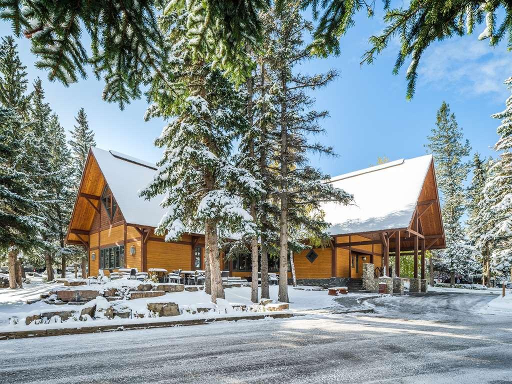 Buffalo Mountain Lodge Μπανφ Εξωτερικό φωτογραφία