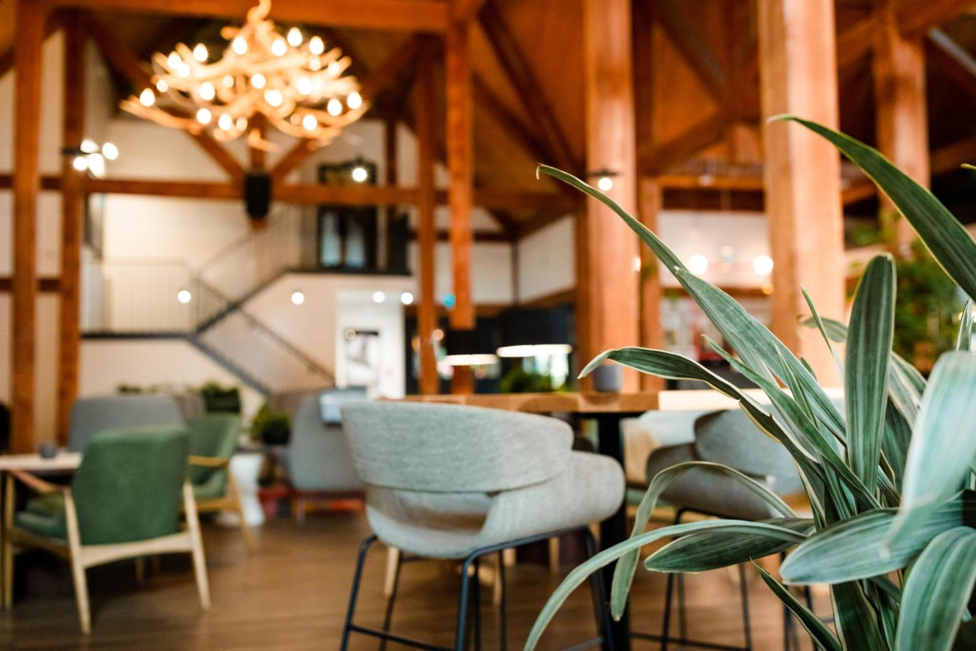 Buffalo Mountain Lodge Μπανφ Εξωτερικό φωτογραφία